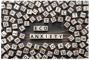 Eco-anxiété solastalgie